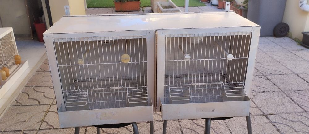 Vendo dois viveiros para canários.
