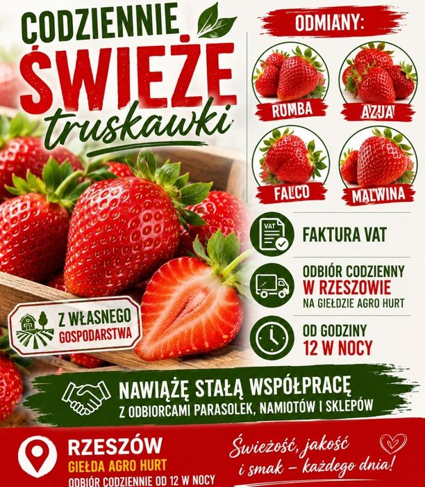 Trustawki Od Producenta