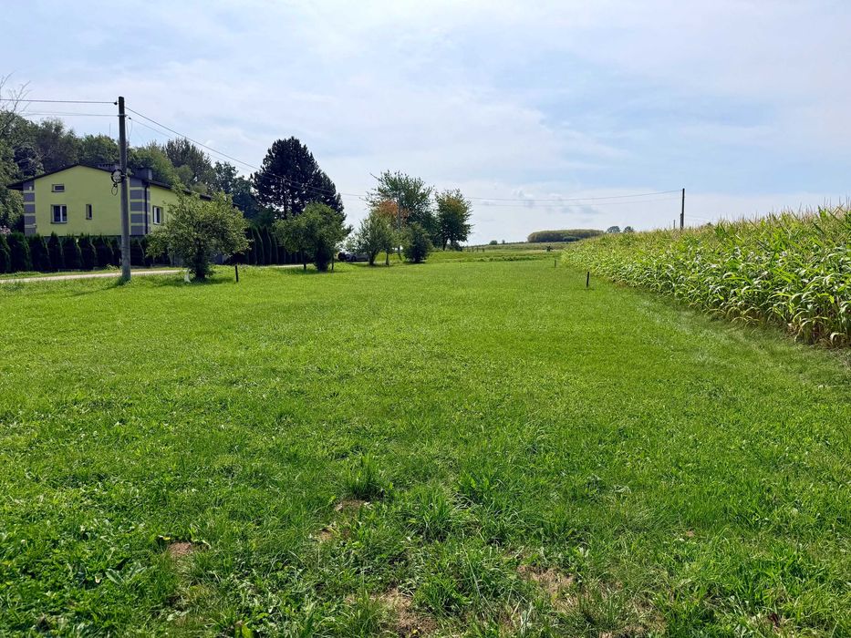 Działka Jasienica/ Łazy 12a dojazd asfaltowy, słoneczna i płaska - Widok 5
