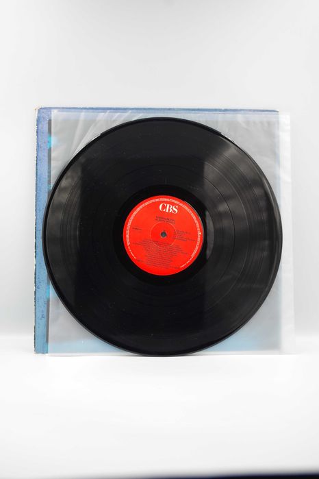 Alison Moyet Raindancing