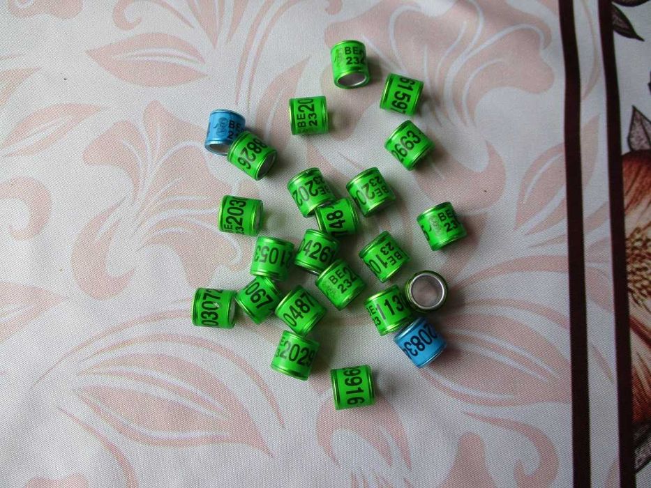 Obrączki dla gołębi