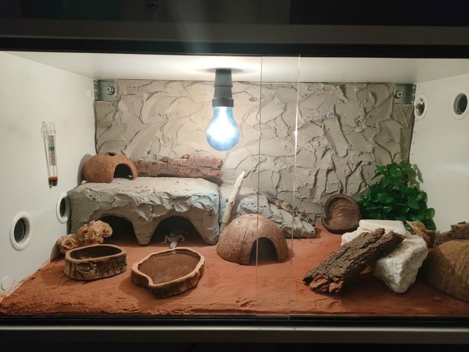 Profesjonalne podwieszane terrarium gekon lamparci