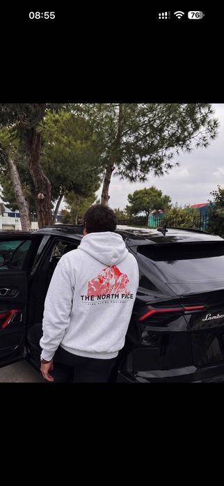 Худі The north face