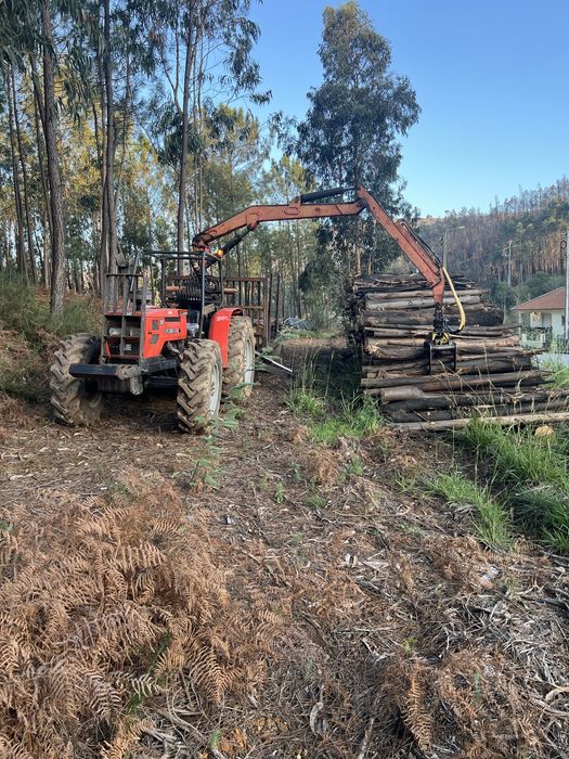 Grua florestal