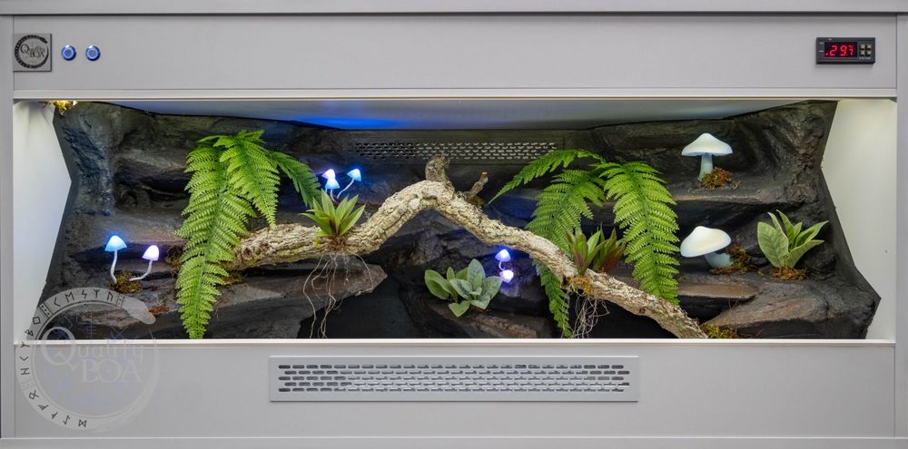 Terrarium dla węża