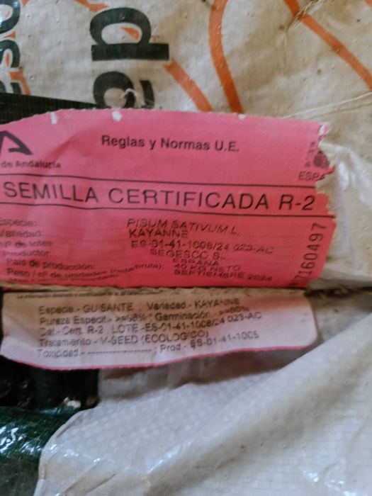 Semente certificada Ervilha