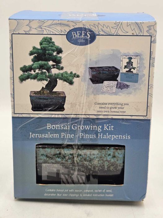 Zestaw do uprawy Bonsai z nasionami Pine