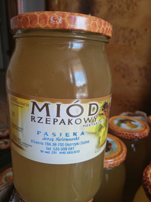 Miód spadziowy z bieszczadzkich lasów