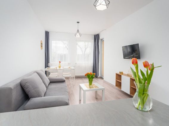 Apartament Miodowy Dom WOLNE od 16.08