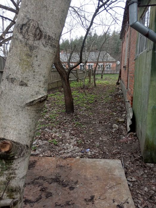 Продам 1/2 дома кирпич в Богодуховском районе