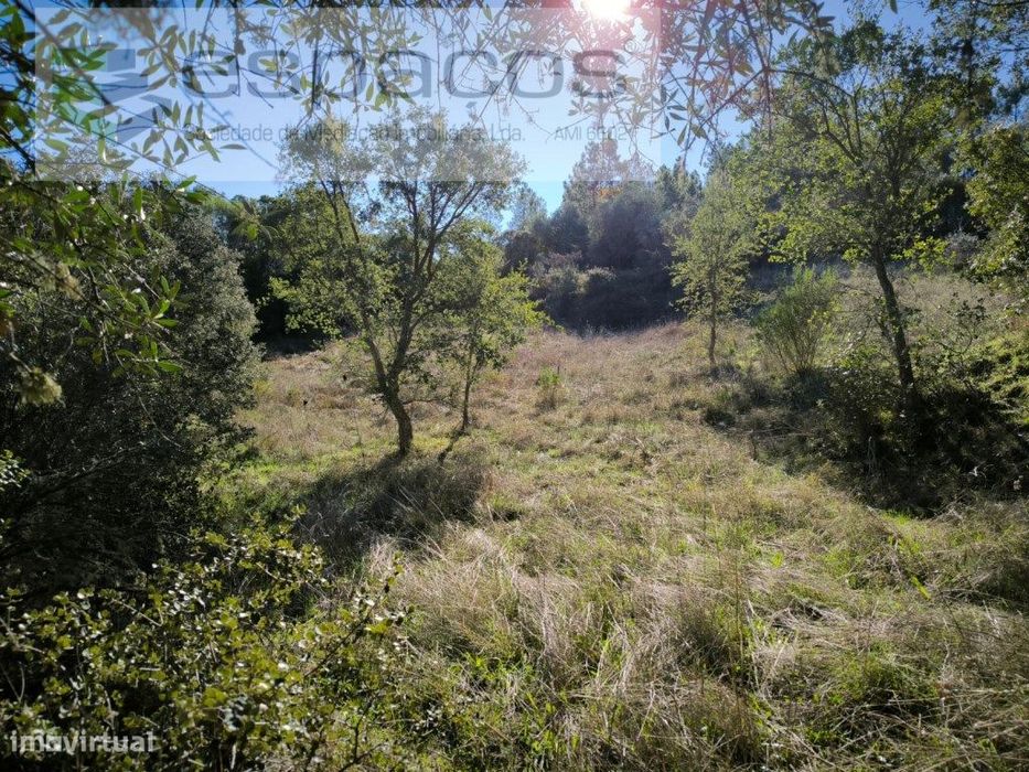 Terrenos com poços - Lentiscais