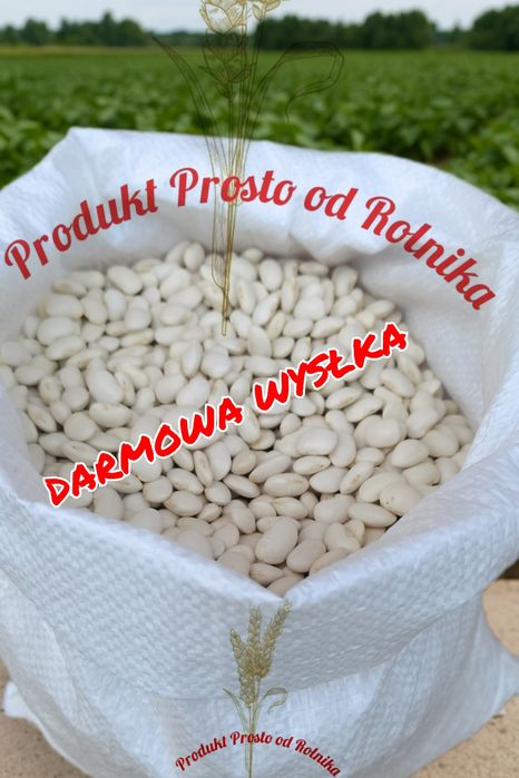 Fasola Jaś Opakowanie 25 kg wysyłka natychmiast Inpost