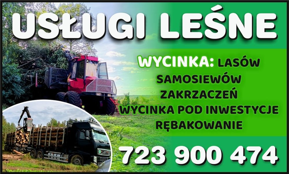 biomasa#wycinka  lasów#drzew#las#mulczowanie