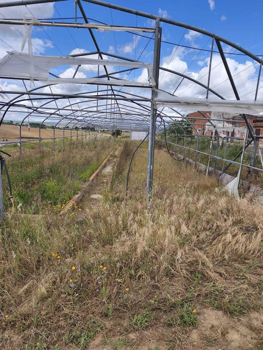 Vende-se Estufa Agrícola