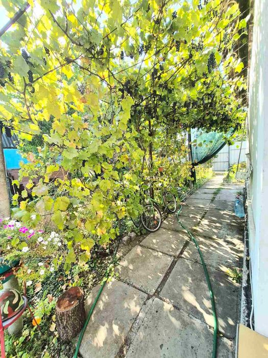 Продам добротну та облаштовану дачу в с.Кандаурово. Торг!