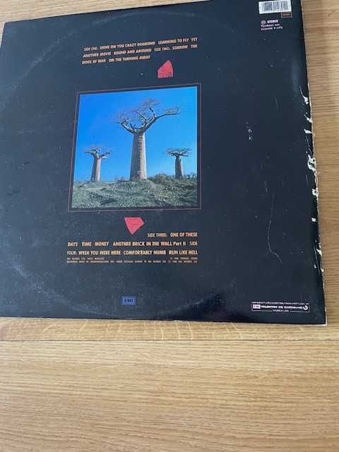 Pink Floyd - Delicate Sound of Thunder.