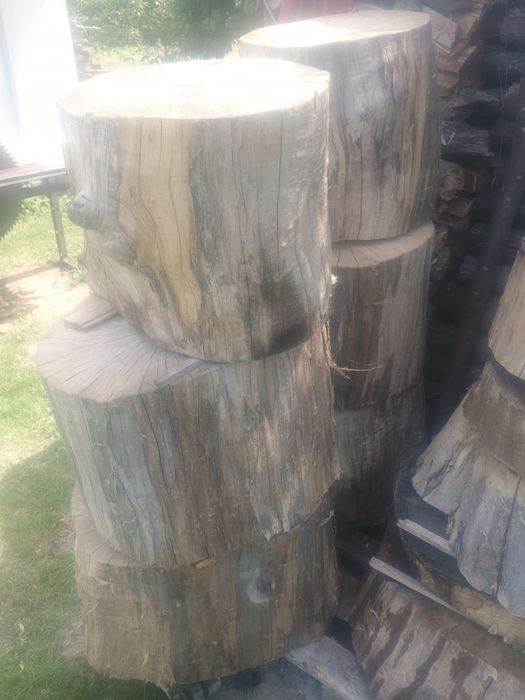 Sprzedam Pieńki Jesionowe