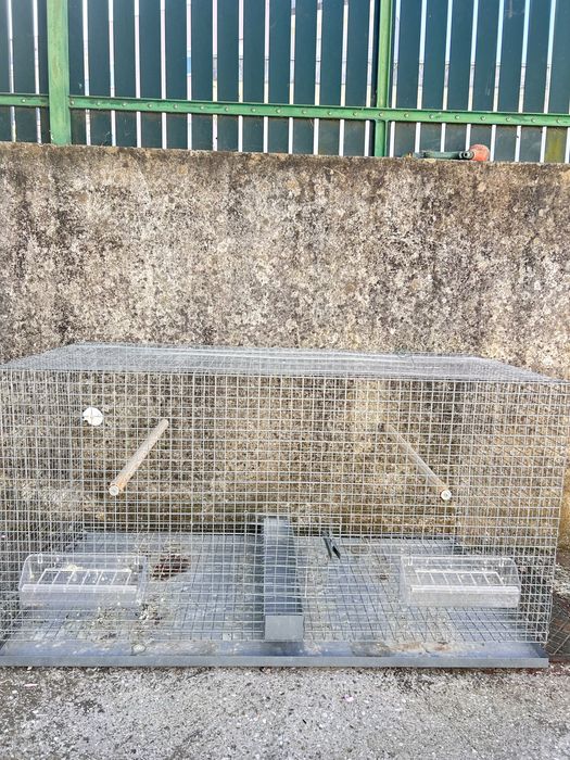 Voadeiras para aves com comedouros