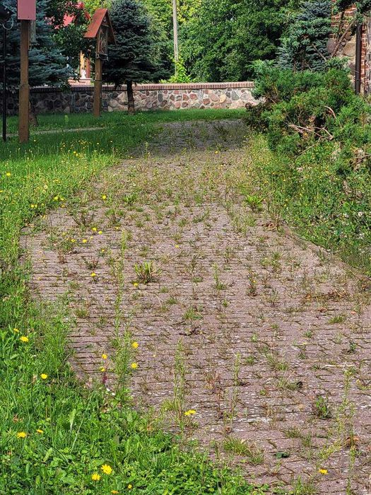 Czyszczenie kostki brukowej,elewacji,dachu