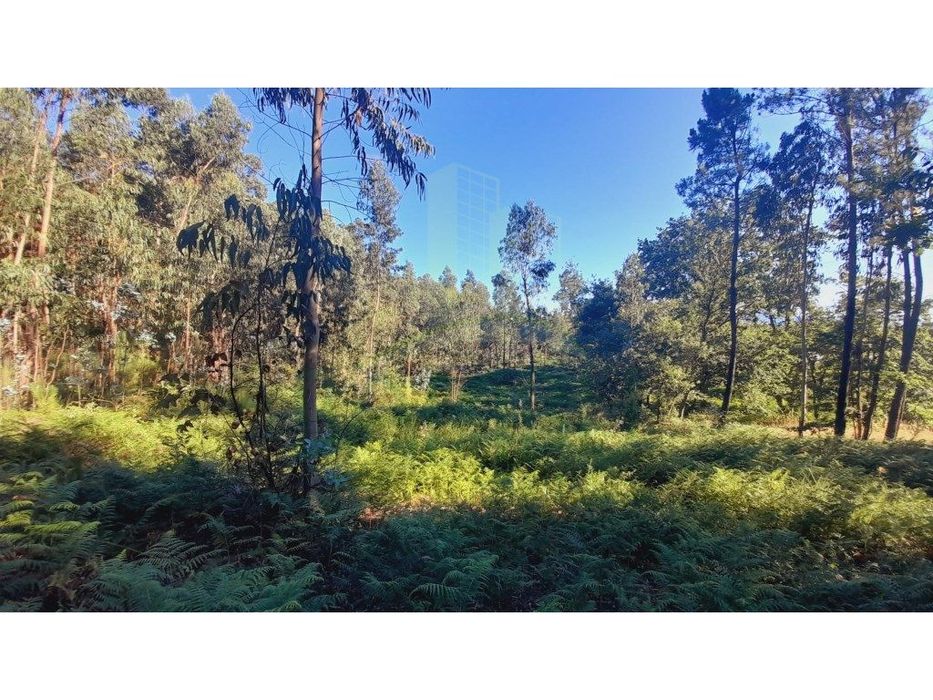 Terreno para construção