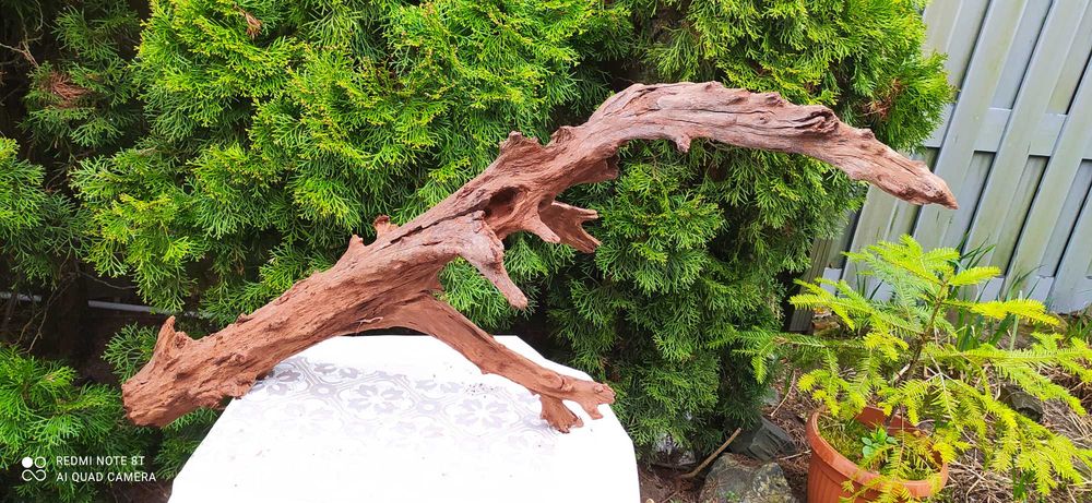 Olbrzymi korzeń do akwarium,terrarium ok 120cm