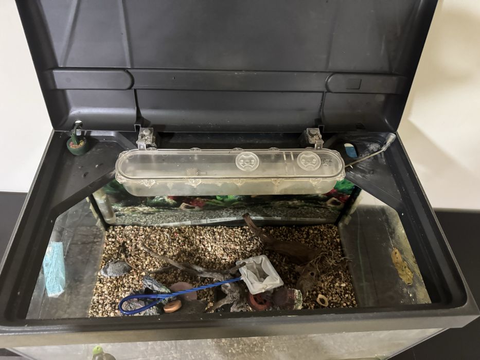 Aquario para Peixes com acessorios