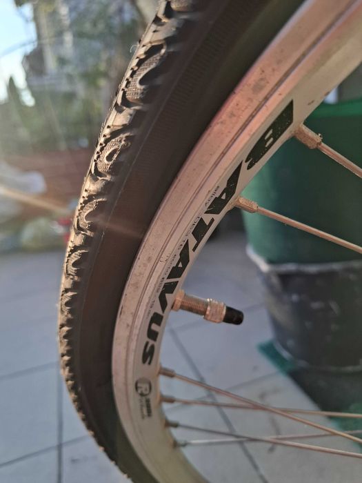 Rower damski Batavus Crescendo