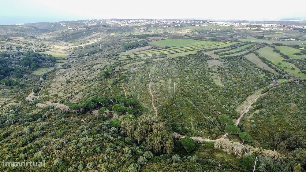 Terreno  para venda — São João Das Lampas E Terrugem, Lisboa