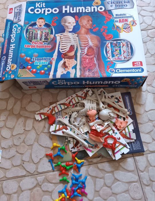 Kit Corpo Humano