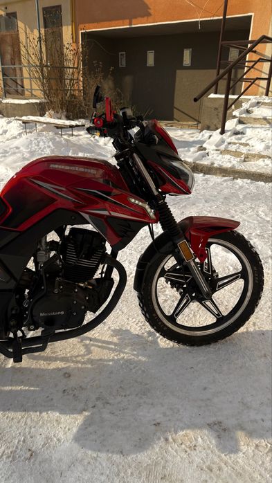 Mustang Fortuna 200-2022p