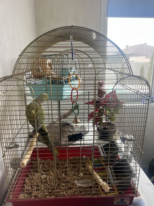 продам клетку