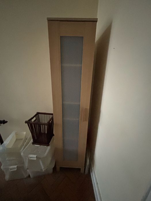 Esta é uma coluna IKEA Aneboda em cor de bétula com uma porta de painel translúcido.
