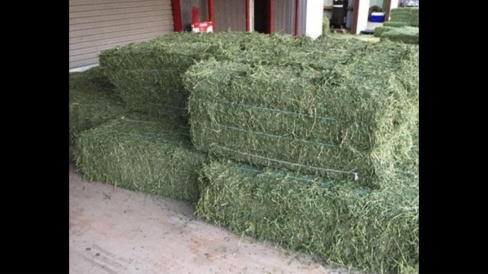 Люцерна люцерка гранули