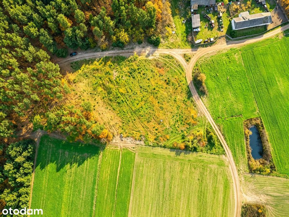 Działka 4400 m² przy lesie, media, MPZP, możliwy podział - Widok 3