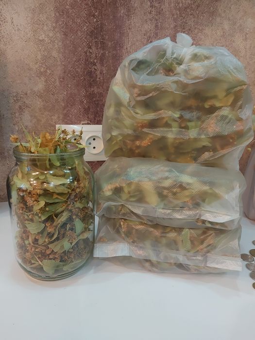 Цвіт липи сушений