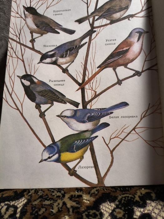 Про птахів: Школа юннатів (рос. мовою) А.Онегов