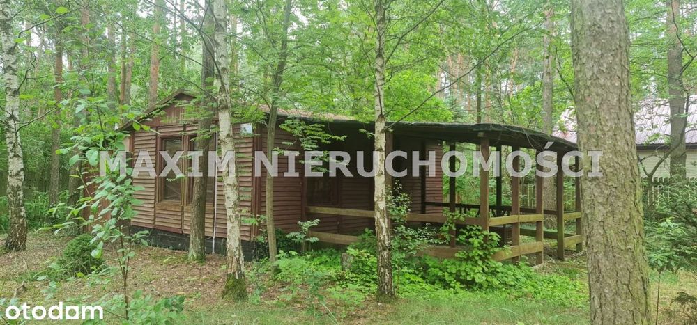 Działka z domkiem letniskowym Królewo/Joniec