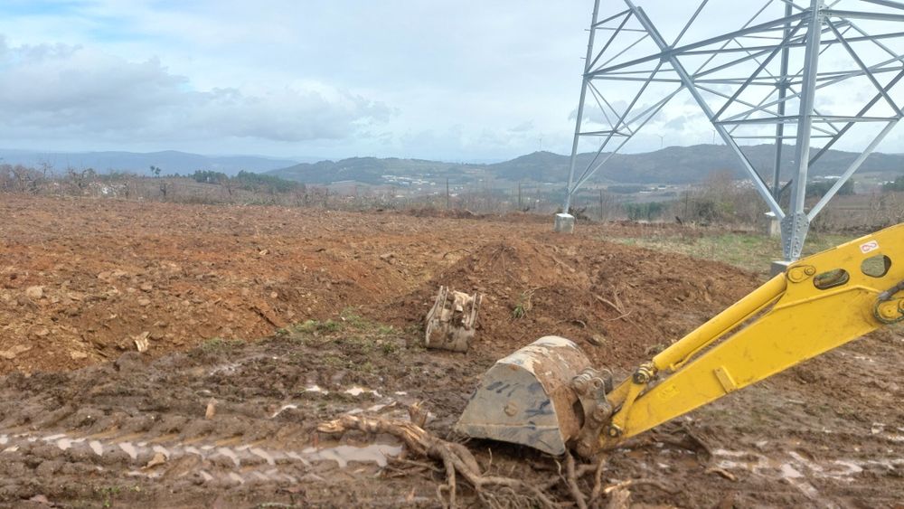 Mini Giratoria Yanmar VIO55