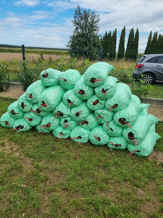 KORA podłoże ogrodowe