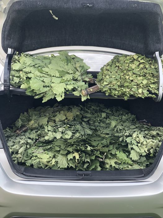 Банні віники: березові та дубові