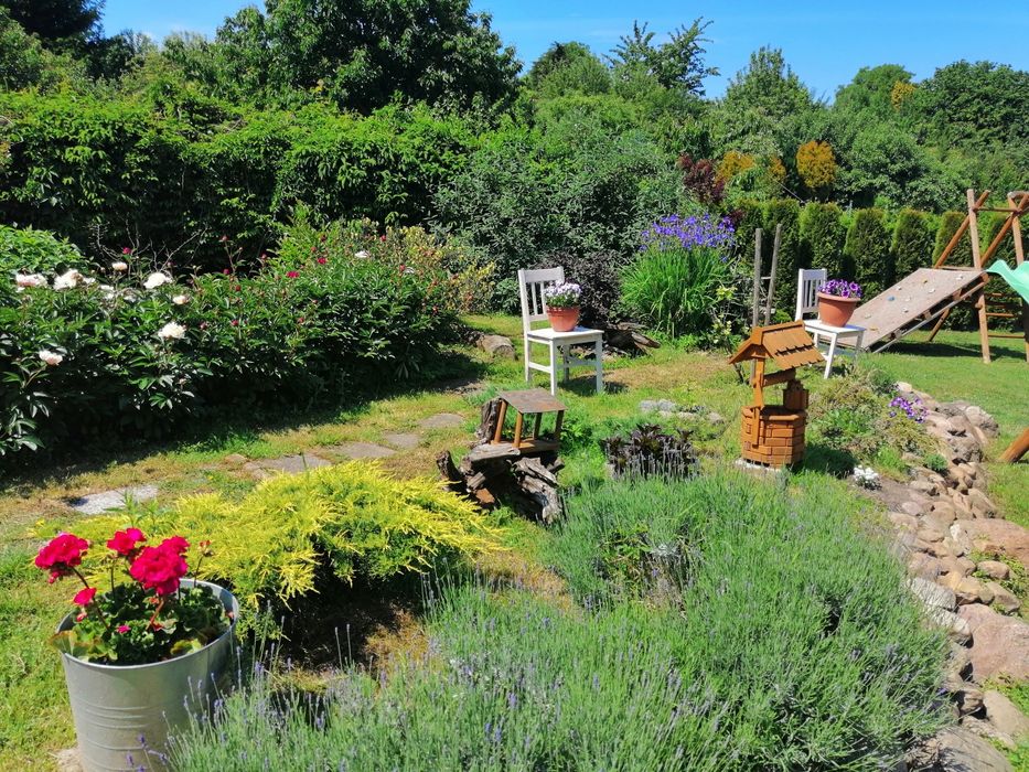 Działka ROD blisko centrum miasta