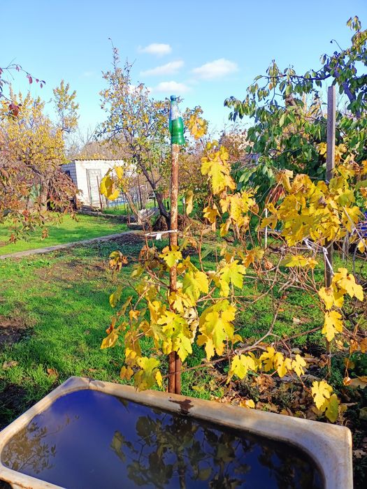 Дача ст.Авиатор Баловное