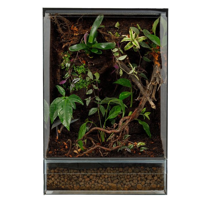 Terrarium tropikalne 40x40x60 paludarium gekon