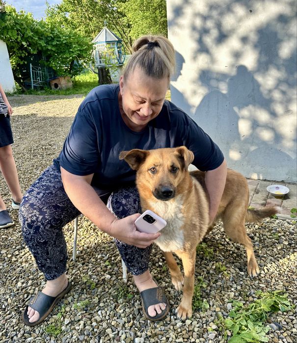 Перевозка животных котов собак перевезення тварин котів собак доставка