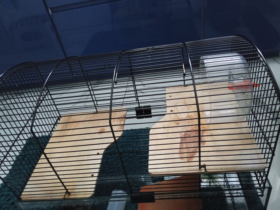 Szklana kuweta z klatką dla chomika myszki itp