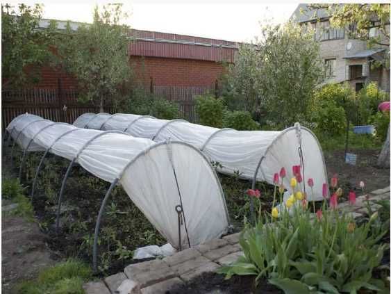 Парник, теплица -3 м- агроволокно пл 42г/м² с Ультрофиолетовым стабил