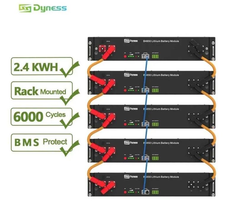 АКБ Dyness B4850 48v 50ah, 2.4kwh LiFePo4