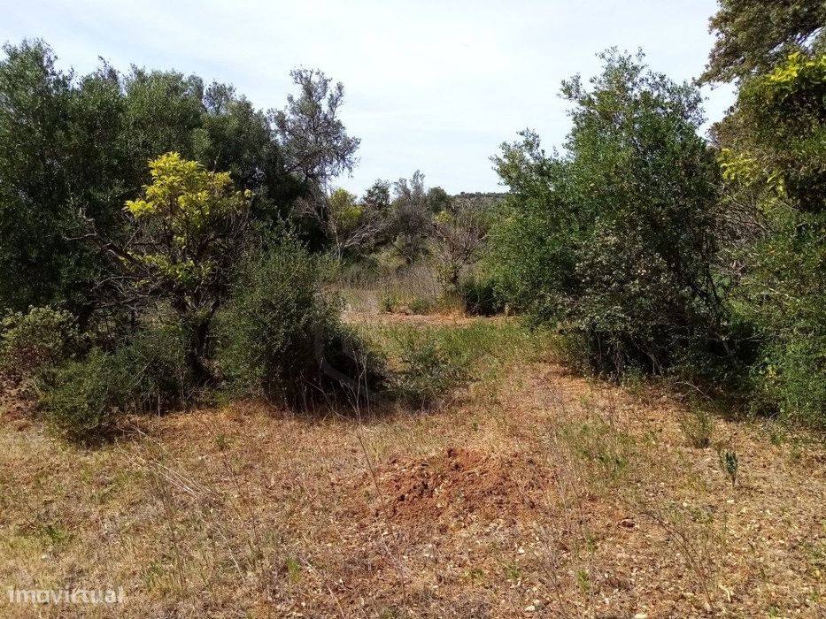 Terreno Rustico com 11 136m2, Loulé, Algarve