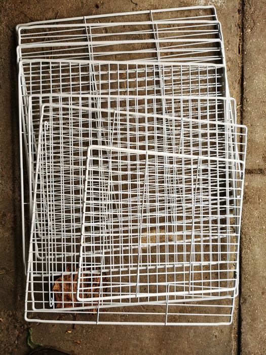 Parque/recinto para coelhos anões/porquinhos da Índia