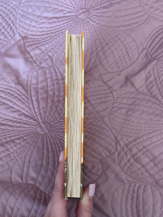 Книга «Ракета на чотирьох лапах» 1